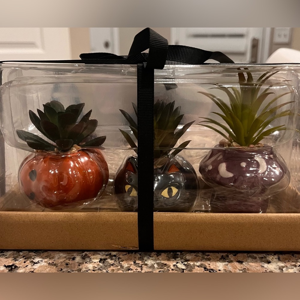 Faux Halloween Succulent Trio - Mini 2.5” tall pumpkin, cat, and moon-n-stars